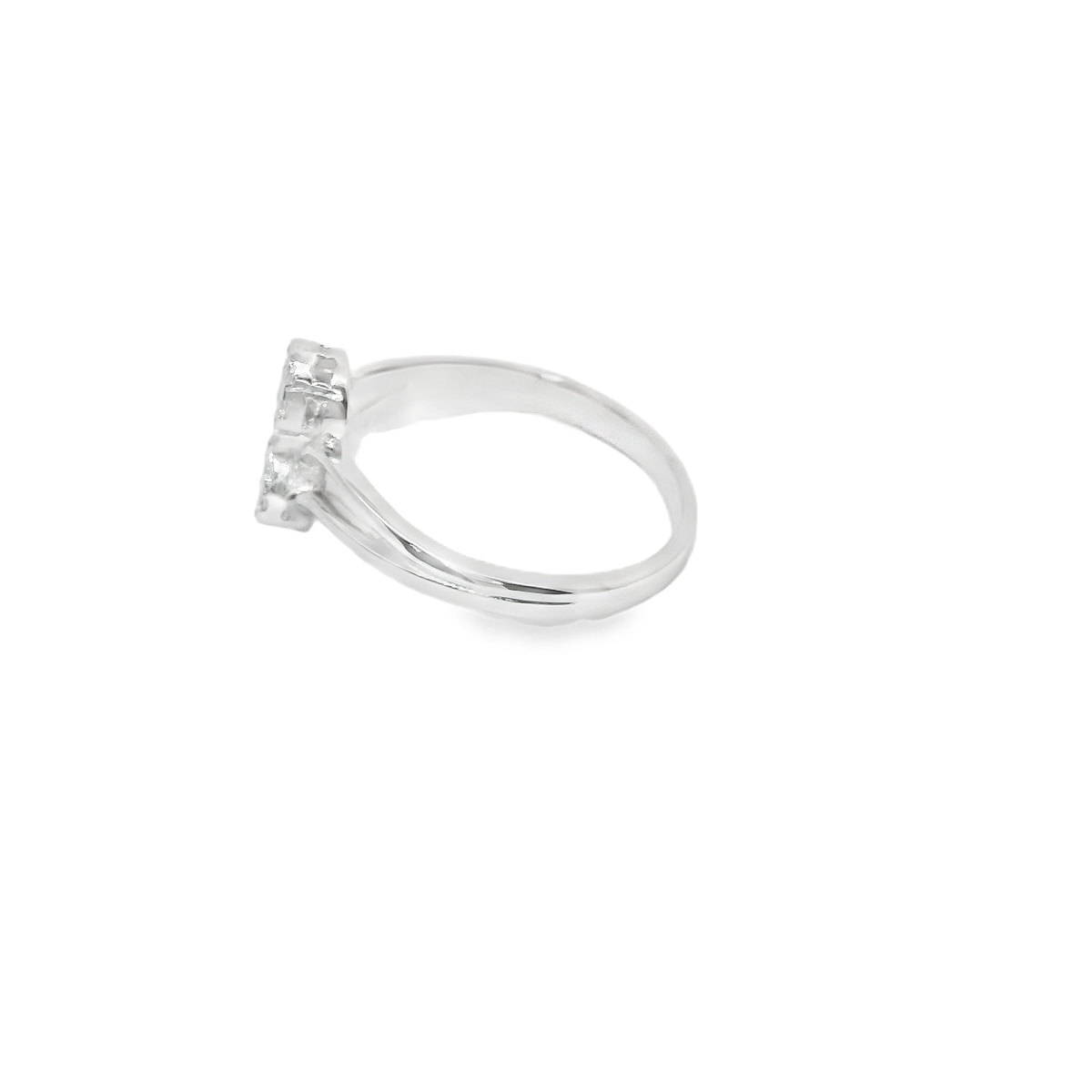 Anillos de compromiso.