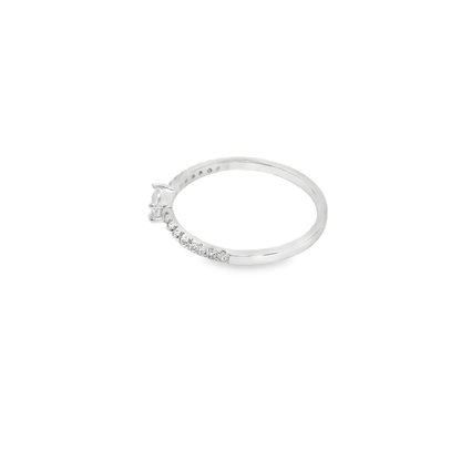 Anillo de color.