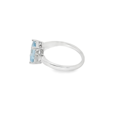 Anillo de color