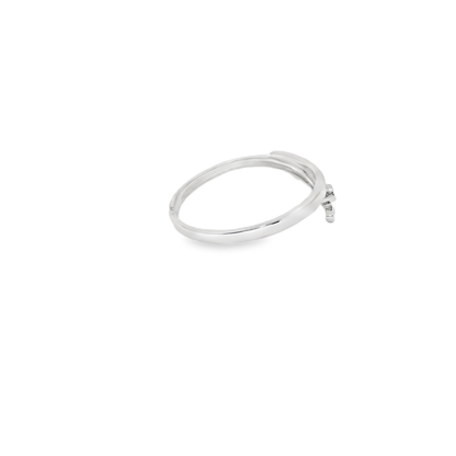Anillos de compromiso.