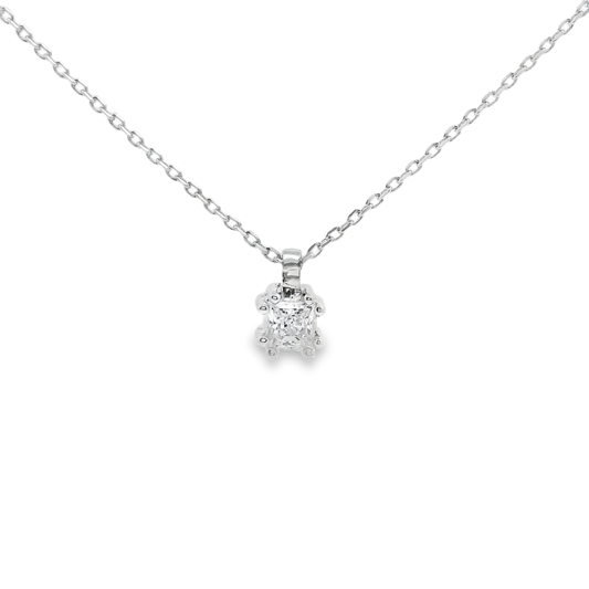Colgante de garras