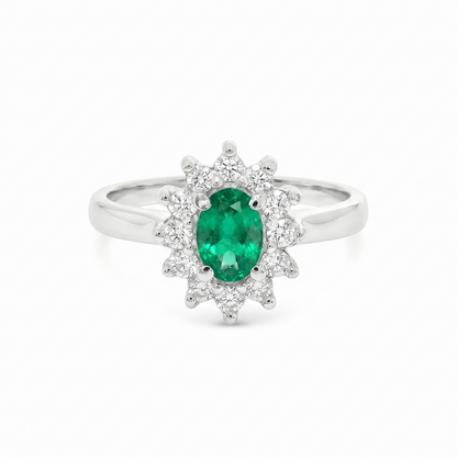 Anillo de color.