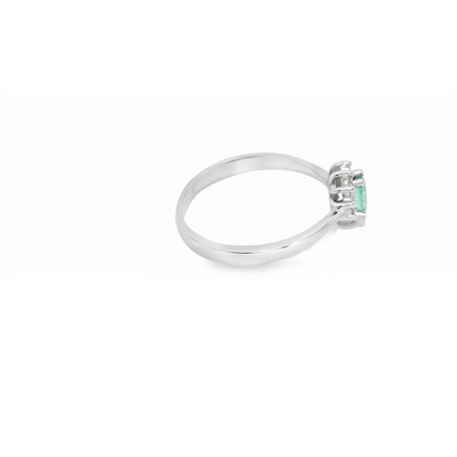 Anillo de color.