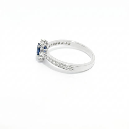 Anillo de color.
