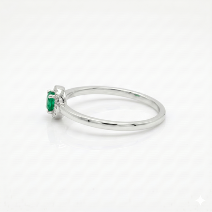 Anillo de color.