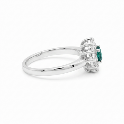 Anillo de color.